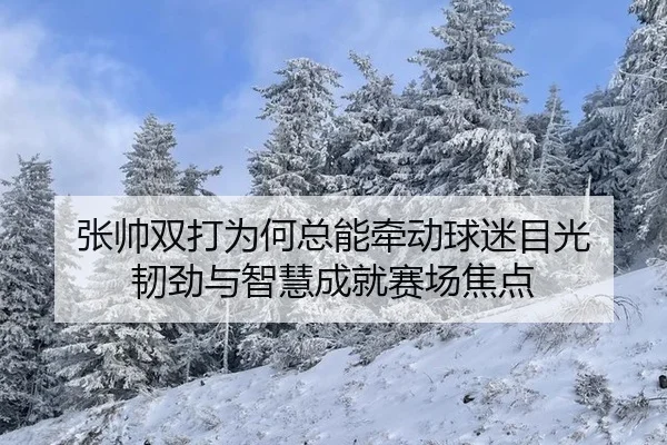 张帅双打为何总能牵动球迷目光 韧劲与智慧成就赛场焦点